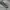 New Balance Sportswear Minimalist Boots Pria white photo 1