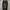Uniqlo Y2K Skater Other Pria black gray photo 2