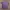 The North Face Sportswear Casual Jersey Pria purple photo 2