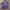 The North Face Sportswear Casual Jersey Pria purple photo 1