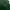 Lacoste Streetwear Hoody Pria green photo 3