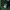 Lacoste Streetwear Hoody Pria green photo 4