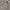 LAINE Casual Casual shirt Pria tan gray photo 3