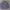 LAINE Casual Casual shirt Pria purple photo 1
