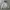 Champion Streetwear Casual Hoody Pria Gray