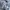 The North Face Streetwear Sweatshirt Pria gray photo 6