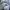 The North Face Streetwear Sweatshirt Pria gray photo 5
