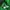 The North Face Streetwear Hoody Pria green photo 5