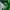 The North Face Streetwear Hoody Pria green photo 4