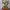 Futurist Hoody Pria gray photo 4
