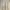Vintage Coquette Casual dress Wanita cream photo 3