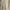 Vintage Coquette Casual dress Wanita cream photo 2