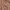 Y2K Skater Casual shirt Pria brown photo 3