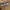 Ben Davis Vintage Streetwear T-shirt Pria tan photo 4