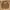 Ben Davis Vintage Streetwear T-shirt Pria Tan