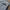 Nike Sportswear Sweatpants & Joggers Pria gray photo 6