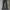 Japanese brand Y2K Casual Flare pants Wanita black photo 5