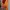 Anti Social Social Club Sportswear Windbreaker Pria orange photo 3
