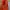 Anti Social Social Club Sportswear Windbreaker Pria orange photo 2