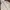Nike Y2K Hoody Pria white photo 3