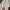 Nike Y2K Hoody Pria white photo 4