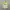 Cosplay Casual Jersey Pria white green photo 1