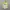 Cosplay Casual Jersey Pria White Green