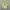 Cosplay Casual Jersey Pria white green photo 4