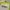 Cosplay Casual Jersey Pria white green photo 2
