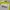 Cosplay Casual Jersey Pria White Green