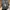 New Balance Streetwear Skater Sneakers Pria gray photo 5