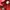 Nike Y2K Hoody Pria red photo 4