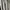 Nike Sportswear Jersey Pria white photo 6