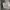 Nike Sportswear Jersey Pria white photo 1