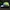 HOKA Biker Sportswear Hat Pria green blue photo 2
