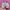 Nike Streetwear Casual Sneakers Wanita white pink photo 4