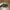 Vintage Y2K Belt Pria green photo 5