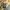 HUF Streetwear Skater Casual shirt Pria yellow photo 5