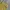 HUF Streetwear Skater Casual shirt Pria yellow photo 3