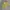 HUF Streetwear Skater Casual shirt Pria yellow photo 2