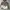 Timberland Gorpcore Track jacket Pria gray photo 5