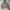 Timberland Gorpcore Track jacket Pria gray photo 1
