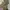 Timberland Gorpcore Track jacket Pria gray photo 2