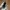 Vintage Y2K Sunglass Pria black photo 2