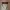 Vintage Y2K Sunglass Pria black photo 3