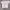 BOY London Streetwear T-shirt Pria tan photo 2