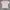 BOY London Streetwear T-shirt Pria tan photo 1