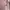 Nike Streetwear Track jacket Pria tan photo 4