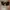 Vintage Y2K Sunglass Pria black gray photo 1