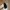 Vintage Y2K Sunglass Pria black gray photo 6